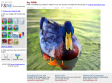 PXN8.COM - Online Image Editor